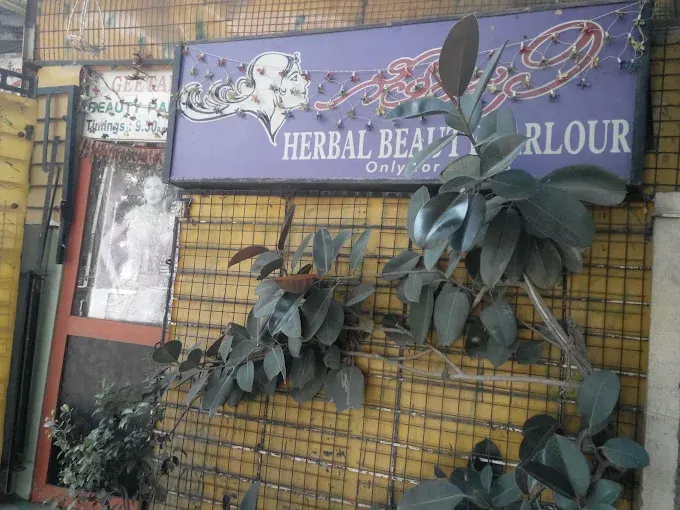 Angles Beauty Parlour [for ladies]