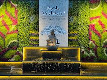 Bodhi Wellness Spa - Banjara Hills